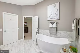 7004 Green Spring Ln, Alexandria, VA 22306 - Photo 65