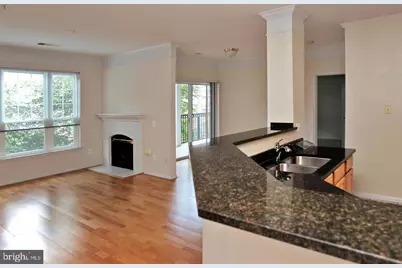 1600 Spring Gate Drive #2303, McLean, VA 22102 - Photo 3