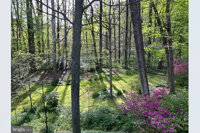 5002 Wenruth Place, Annandale, VA 22003 - Photo 89
