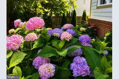 904 Locust Street, Herndon, VA 20170 - Photo 47