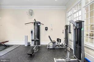 8406 Mountain Larkspur Dr Dr, Lorton, VA 22079 - Photo 69