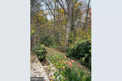 6803 Wild Rose Court, Springfield, VA 22152 - Photo 49