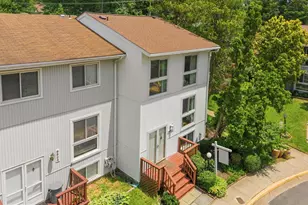 9822 Sweet Mint Dr, Vienna, VA 22181 - Photo 49