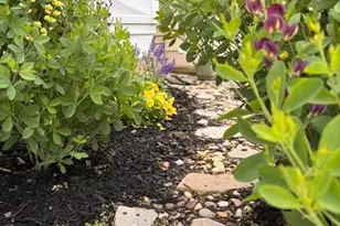 6415 Birchleigh Cir, Alexandria, VA 22315 - Photo 37