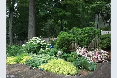 6534 Jay Miller Drive, Falls Church, VA 22041 - Photo 25