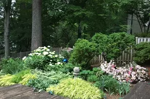6534 Jay Miller Dr, Falls Church, VA 22041 - Photo 25
