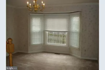 6506 Old Coach Court, Alexandria, VA 22315 - Photo 49