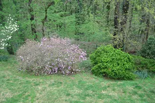 6322 Kellogg Dr, McLean, VA 22101 - Photo 35