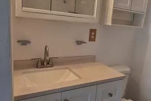 6022 Forrest Hollow Ln, Springfield, VA 22152 - Photo 31