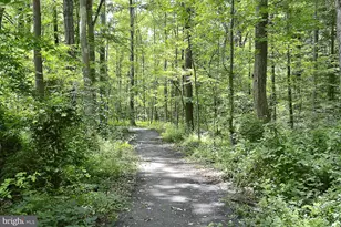 3214 Chichester Ln, Fairfax, VA 22031 - Photo 49
