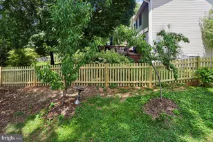 900 Barker Hill Rd, Herndon, VA 20170 - Photo 33