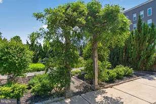 6127 Olivet Dr, Alexandria, VA 22315 - Photo 49