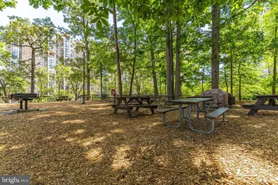 5904 Mount Eagle Drive #903, Alexandria, VA 22303 - Photo 33