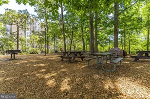 5904 Mt Eagle Dr, Alexandria, VA 22303 - Photo 33
