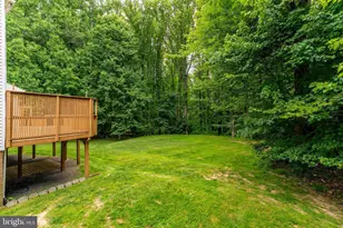 11618 Holly Briar Ln, Great Falls, VA 22066 - Photo 5