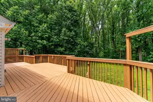 11618 Holly Briar Ln, Great Falls, VA 22066 - Photo 65