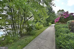 6505 Grange, Alexandria, VA 22315 - Photo 41
