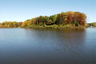 5849 Wye Oak Commons Ct, Burke, VA 22015 - Photo 37