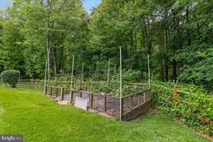 1501 Judd Ct, Herndon, VA 20170 - Photo 43
