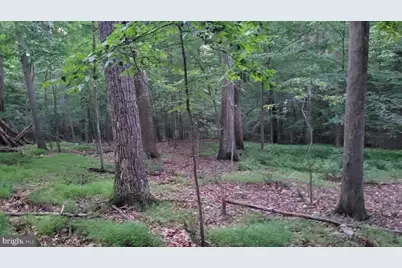 264 Golden Woods Court, Great Falls, VA 22066 - Photo 5