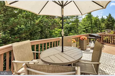 6747 Applemint Lane, Alexandria, VA 22310 - Photo 19