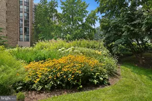 5904 Mt Eagle Dr, Alexandria, VA 22303 - Photo 93