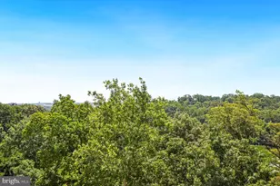 5904 Mt Eagle Dr, Alexandria, VA 22303 - Photo 11