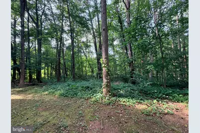 6610 Netties Lane #B, Alexandria, VA 22315 - Photo 3