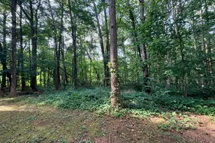 6610 Netties Ln, Alexandria, VA 22315 - Photo 3