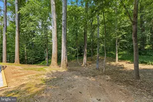9200 Ripple Brook Rd, Great Falls, VA 22066 - Photo 37