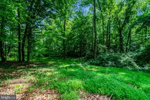 7217 Reservation Dr, Springfield, VA 22153 - Photo 49