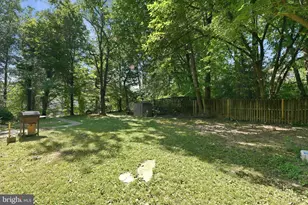 6025 Arlington Blvd, Falls Church, VA 22044 - Photo 7