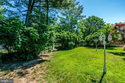 3124 Glen Carlyn Road, Falls Church, VA 22041 - Photo 71