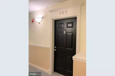 1509 N Point Drive #303, Reston, VA 20194 - Photo 3