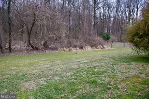 11601 Warren Ln, Fairfax, VA 22030 - Photo 45