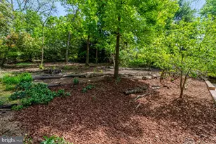 7413 Rebecca Dr, Alexandria, VA 22307 - Photo 59