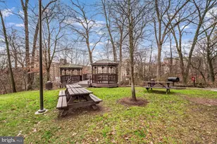 5901 Mt Eagle Dr, Alexandria, VA 22303 - Photo 17