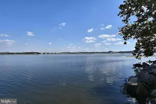 8509 Cyrus Pl, Alexandria, VA 22308 - Photo 57