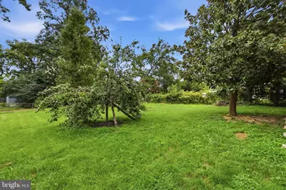 6405 Inwood Drive, Springfield, VA 22150 - Photo 67