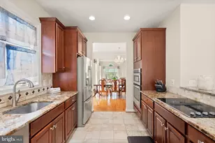 7029 Swain Dr, Alexandria, VA 22306 - Photo 15