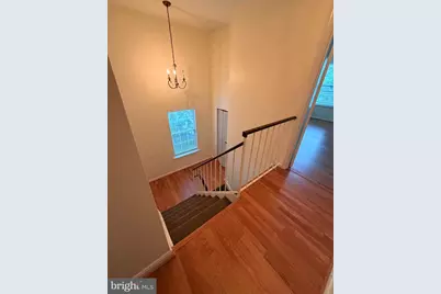 8818 Ridge Hollow Court, Springfield, VA 22152 - Photo 21