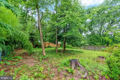 7819 Sycamore Drive, Falls Church, VA 22042 - Photo 43