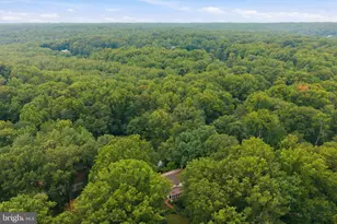 10516 Walter Thompson Dr, Vienna, VA 22181 - Photo 55