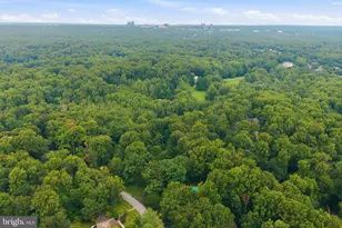 10516 Walter Thompson Dr, Vienna, VA 22181 - Photo 53