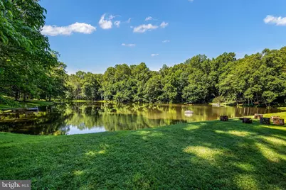 10120 Walker Lake Drive, Great Falls, VA 22066 - Photo 19