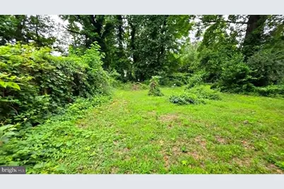 1646 La Salle Avenue, McLean, VA 22102 - Photo 17