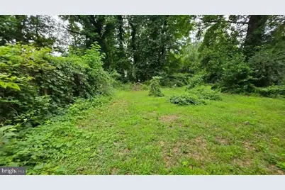 1646 La Salle Avenue, McLean, VA 22102 - Photo 5