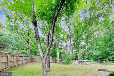 6800 Moon Rock Court, Alexandria, VA 22306 - Photo 55