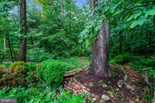 8304 Five Gates Rd, Annandale, VA 22003 - Photo 87