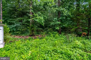 8304 Five Gates Rd, Annandale, VA 22003 - Photo 85